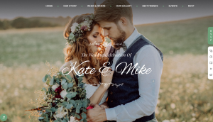 Best Wedding Websites