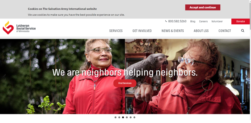 Lutheran Social Services / best non-profit websites