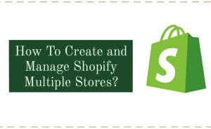 Shopify Multiple Stores