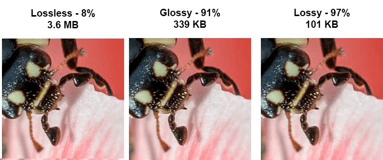 ShortPixel loss vs glossy vs glosless- shortpixel promo codes