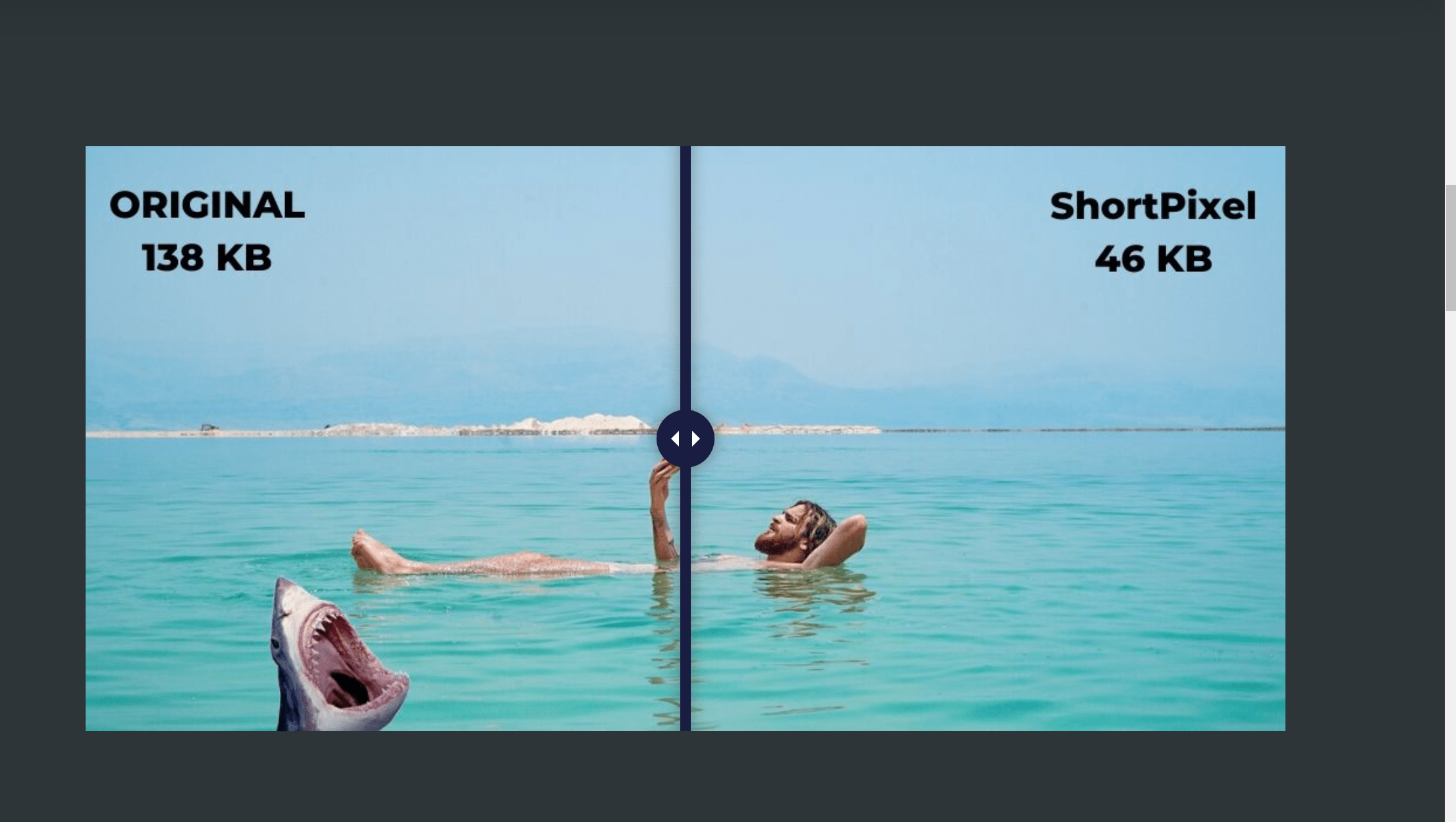 Shortpixel images review- Shortpixel Adaptive images