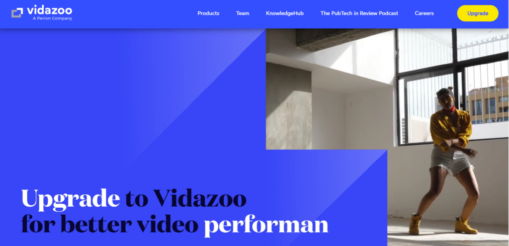 Vidazoo Overview
