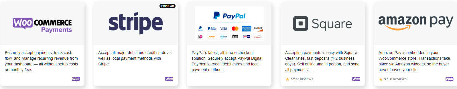 WooCommerce Payment Options