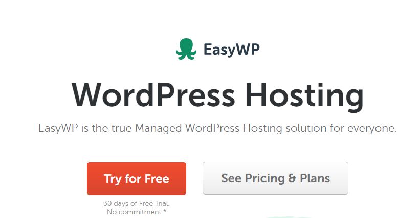 easywp-hosting-review
