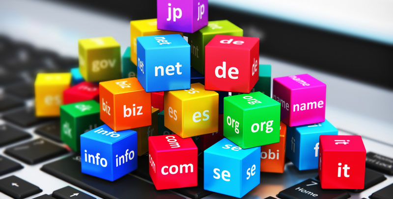 Get Your Domain Name