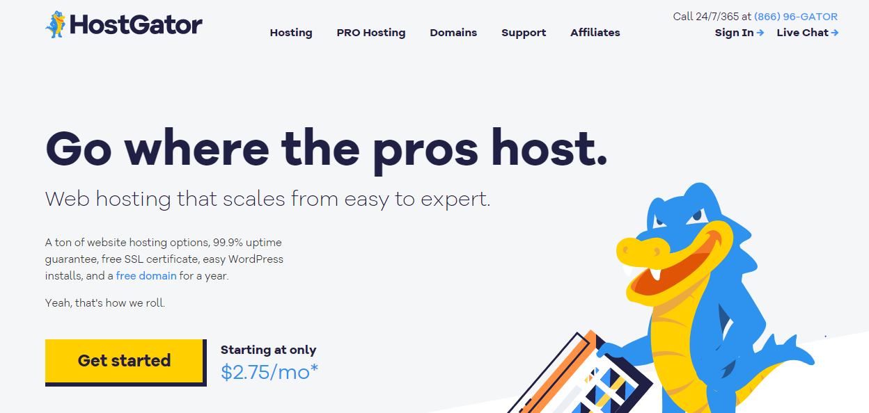 hostgator-pro-web-hosting-services