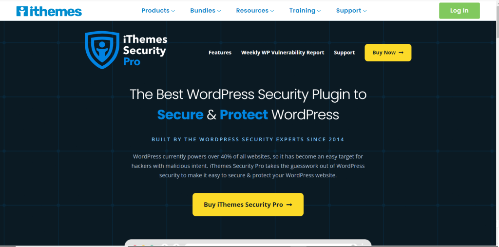 Best WordPress Security Plugin/ iThemes Security