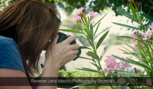 Reverse Lens Macro Photography Secrets