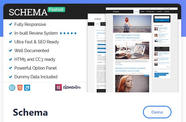 schema-wordpress-theme-review-homepage